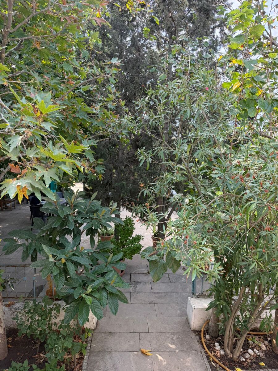 Satılır 3 otaqlı həyət evi/bağ evi 54 m² — Ev, villa, Bakı (6)