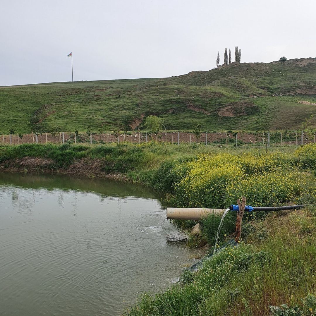 320 sot torpaq sahəsi, Şamaxı ş — Torpaq, Şamaxı (4)