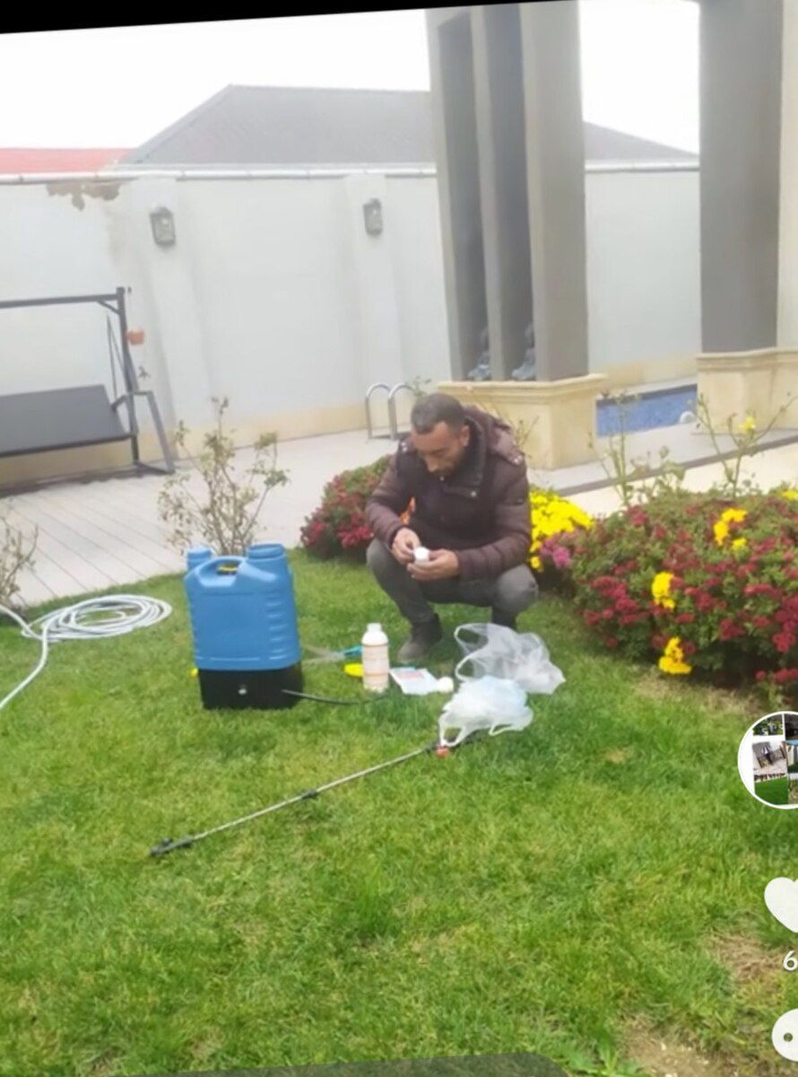 Bağban işi axtarıram — İş axtarıram, Bakı (6)