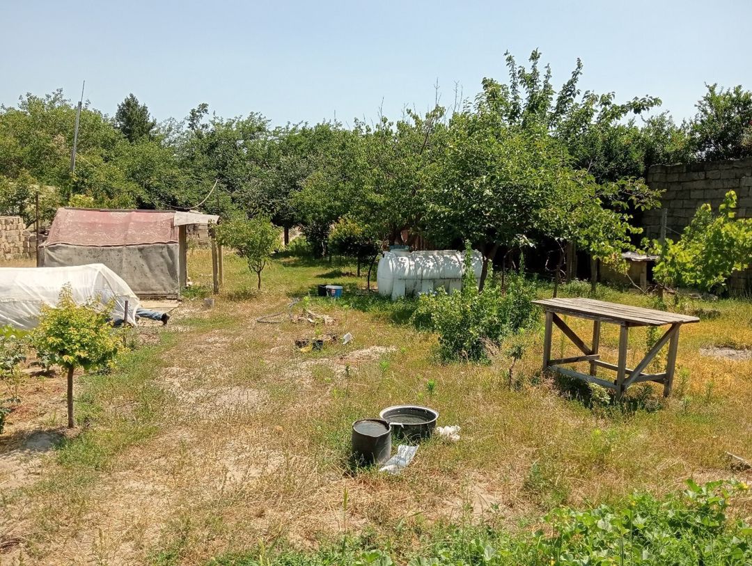 5.5 sot torpaq sahəsi, Novxanı qəs — Torpaq, Bakı (3)