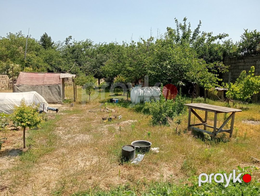5.5 sot torpaq sahəsi, Novxanı qəs — Torpaq, Bakı (3)