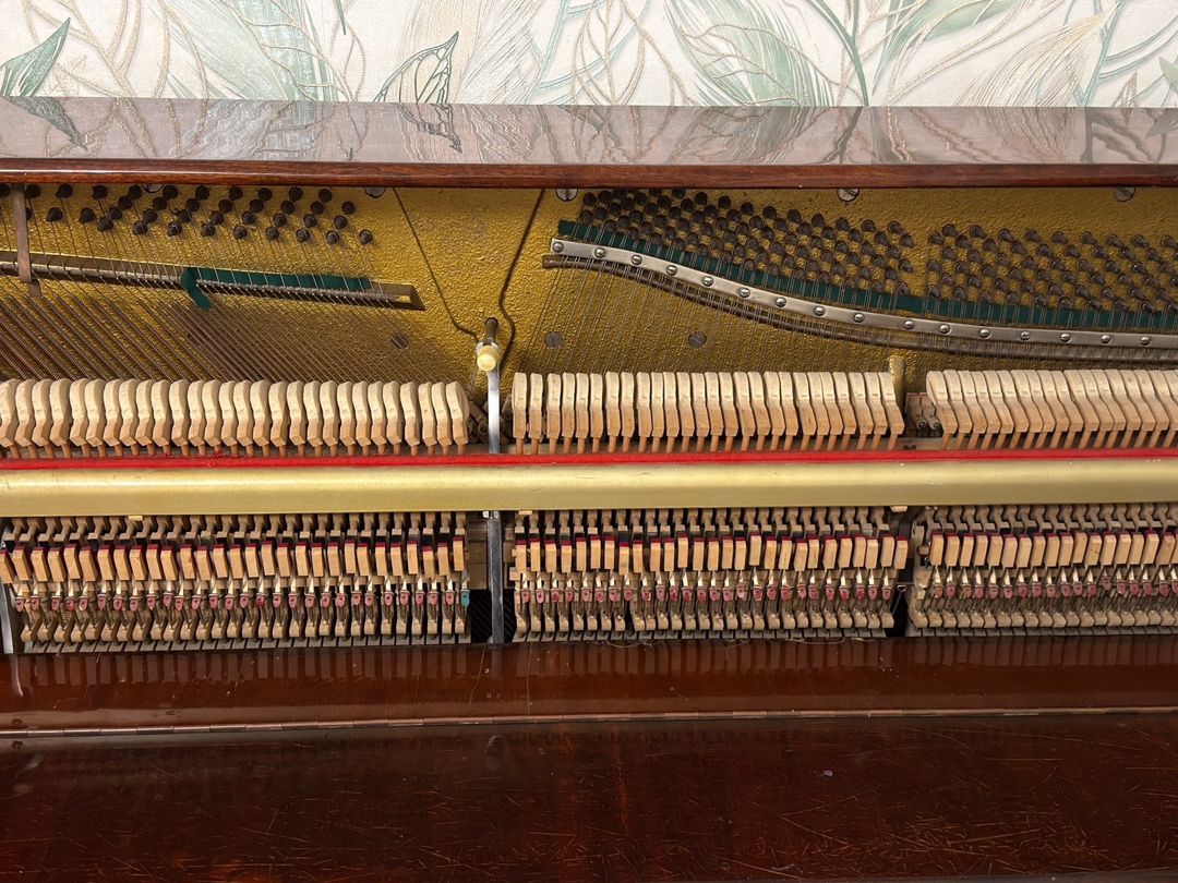 Piano Vesna — Musiqiə alətləri, Sumqayıt (3)