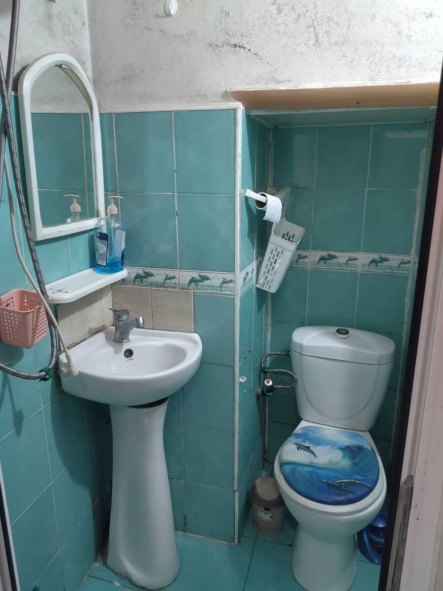 İcarəyə verilir 1 otaqlı həyət evi/bağ evi 30 m² — Ev, villa, Bakı (5)