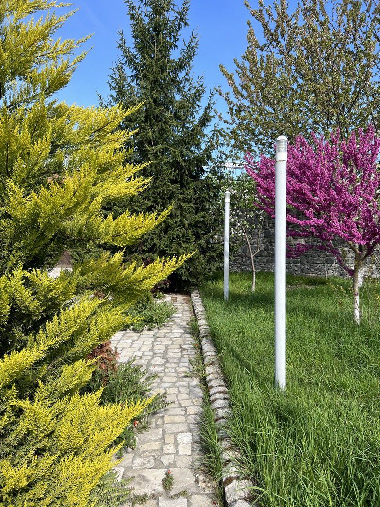 Villa kirayə verilir, Qəbələ ş — Ev, villa, Qəbələ (4)