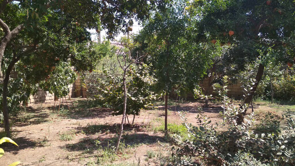 3 sot torpaq sahəsi, Xırdalan ş — Torpaq, Xırdalan (3)