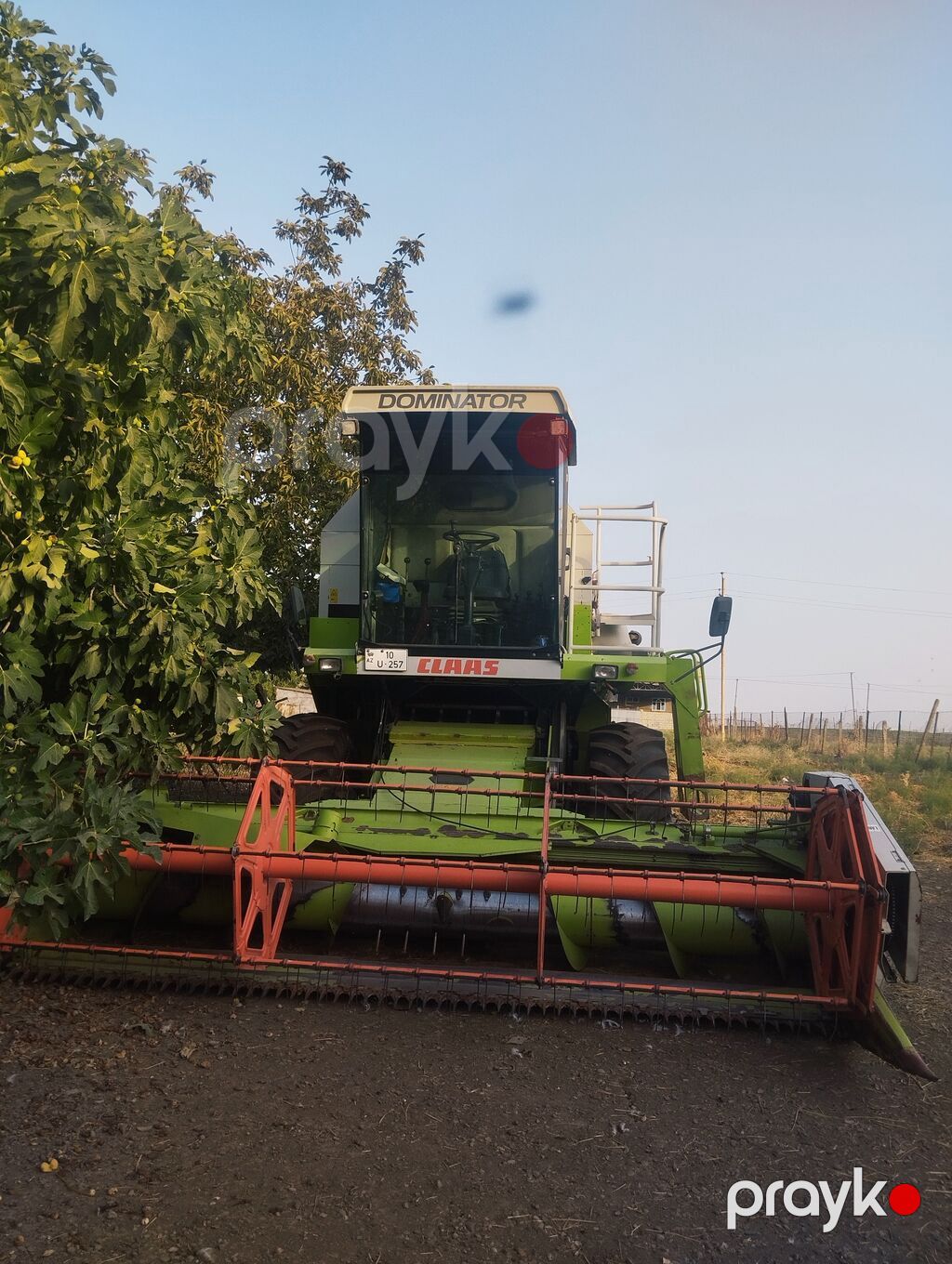 Claas Dominator 130 biçin kombaynı - Marka/model: Claas Dominator 130 — Kombaynlar, Cəlilabad (2)