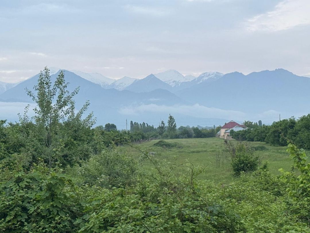 87 sot torpaq sahəsi, Qəbələ r — Torpaq, Qəbələ (6)