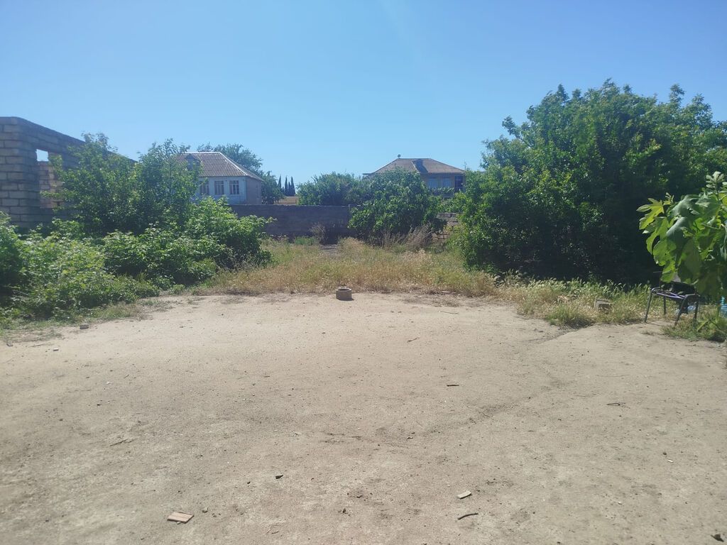 5 sot, Tikinti, Kupça (Çıxarış) — Torpaq, Bakı (7)