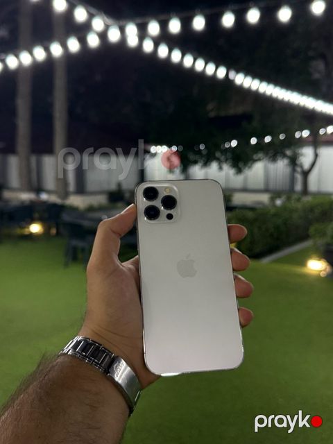 Apple iPhone 12 Pro Max Silver 256GB/6GB