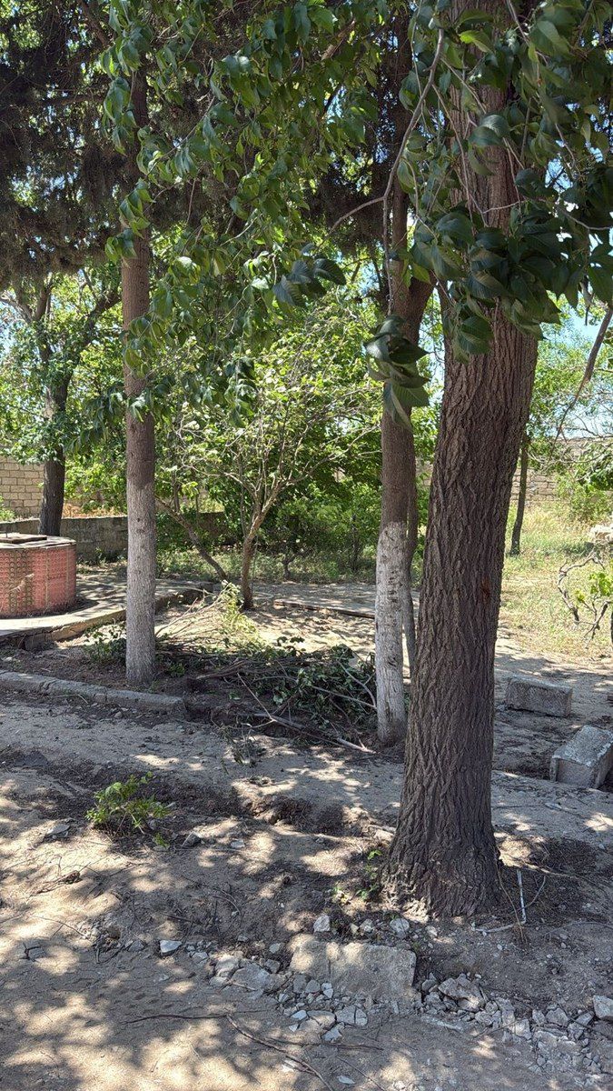 8 sot torpaq sahəsi, Nardaran qəs — Torpaq, Bakı (2)