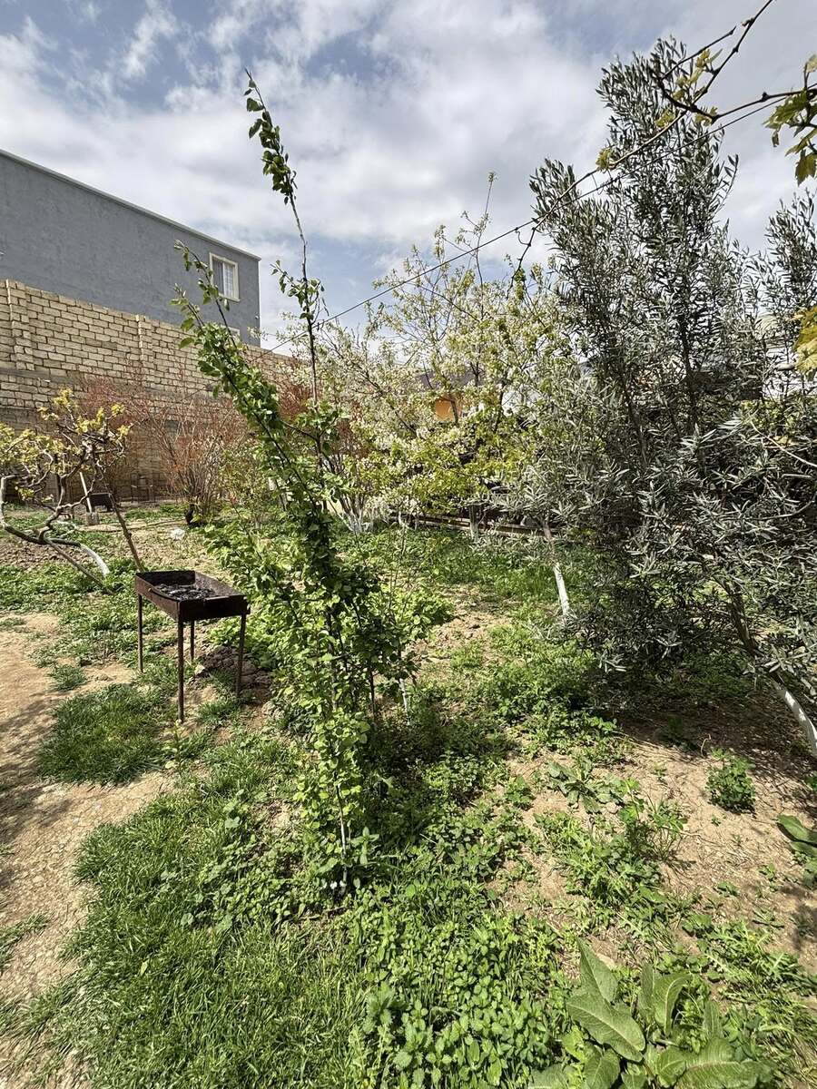 Satılır torpaq 3 sot — Torpaq, Bakı (4)