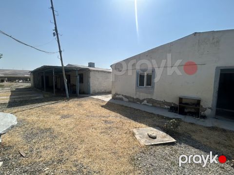 Ferma/Sağmal təsərrüfatı sahəsi - Geniş həyətyanı ərazi və açıq sahə