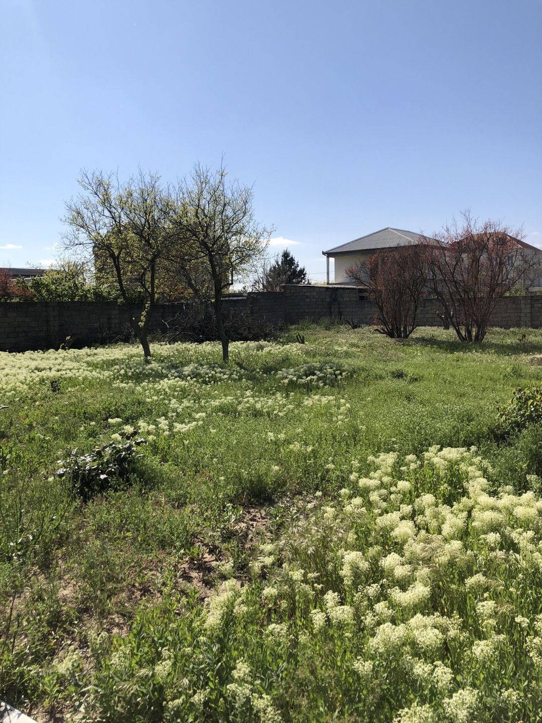 Satılır torpaq 5 sot — Torpaq, Bakı (8)