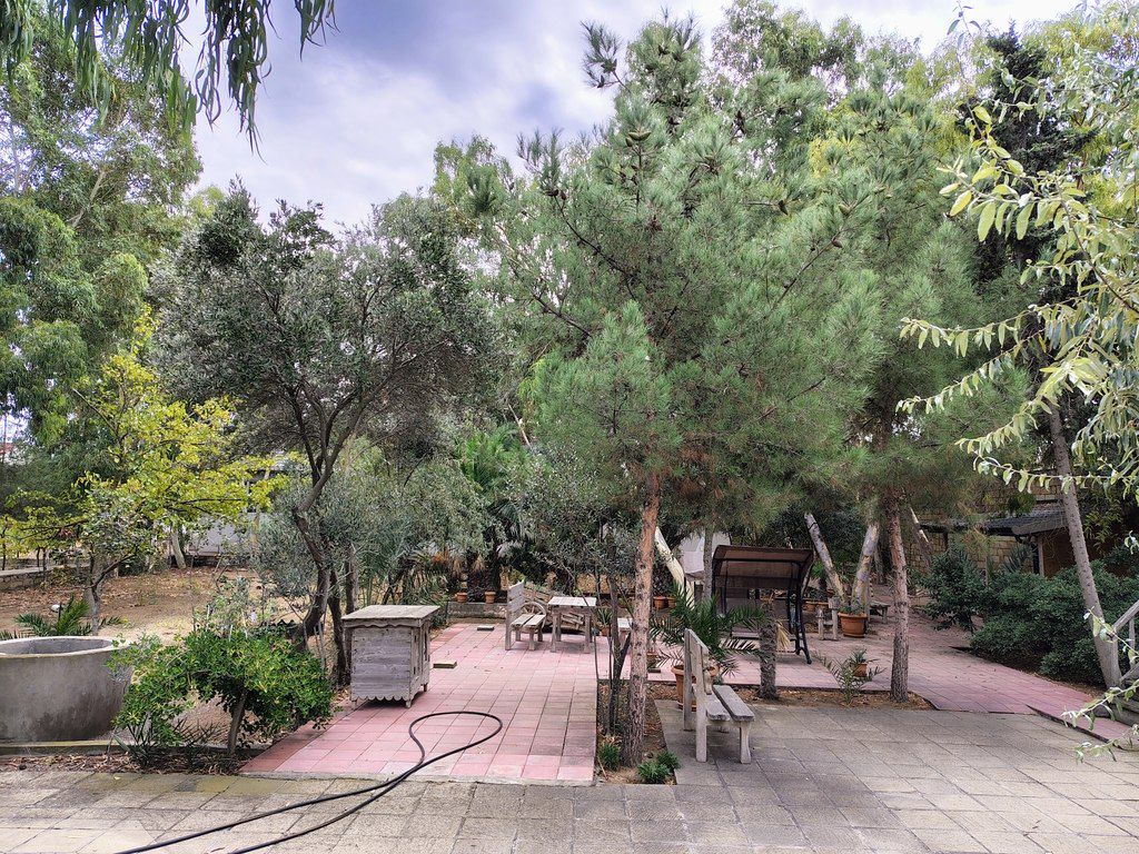 Satılır torpaq 44 sot — Torpaq, Bakı (10)