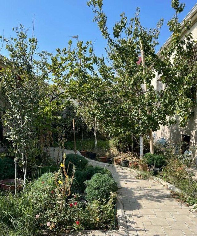 Həyət evi, Yeni Ramanı qəs — Ev, villa, Bakı (7)