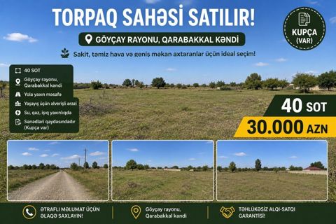 40 sot, Tikinti, Kupça (Çıxarış) — Bakı