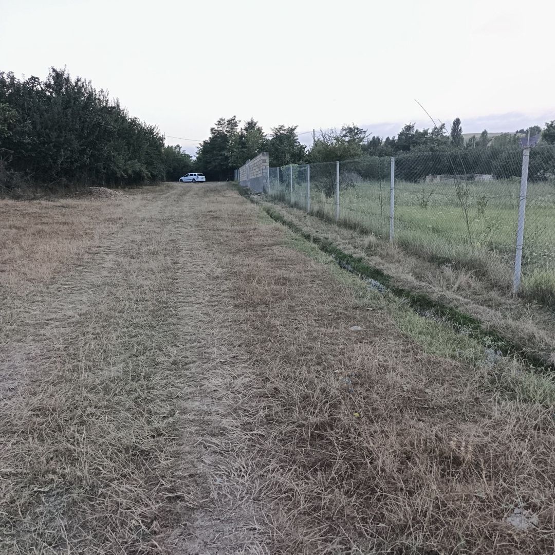 32 sot torpaq sahəsi, Qusar r — Torpaq, Qusar (12)