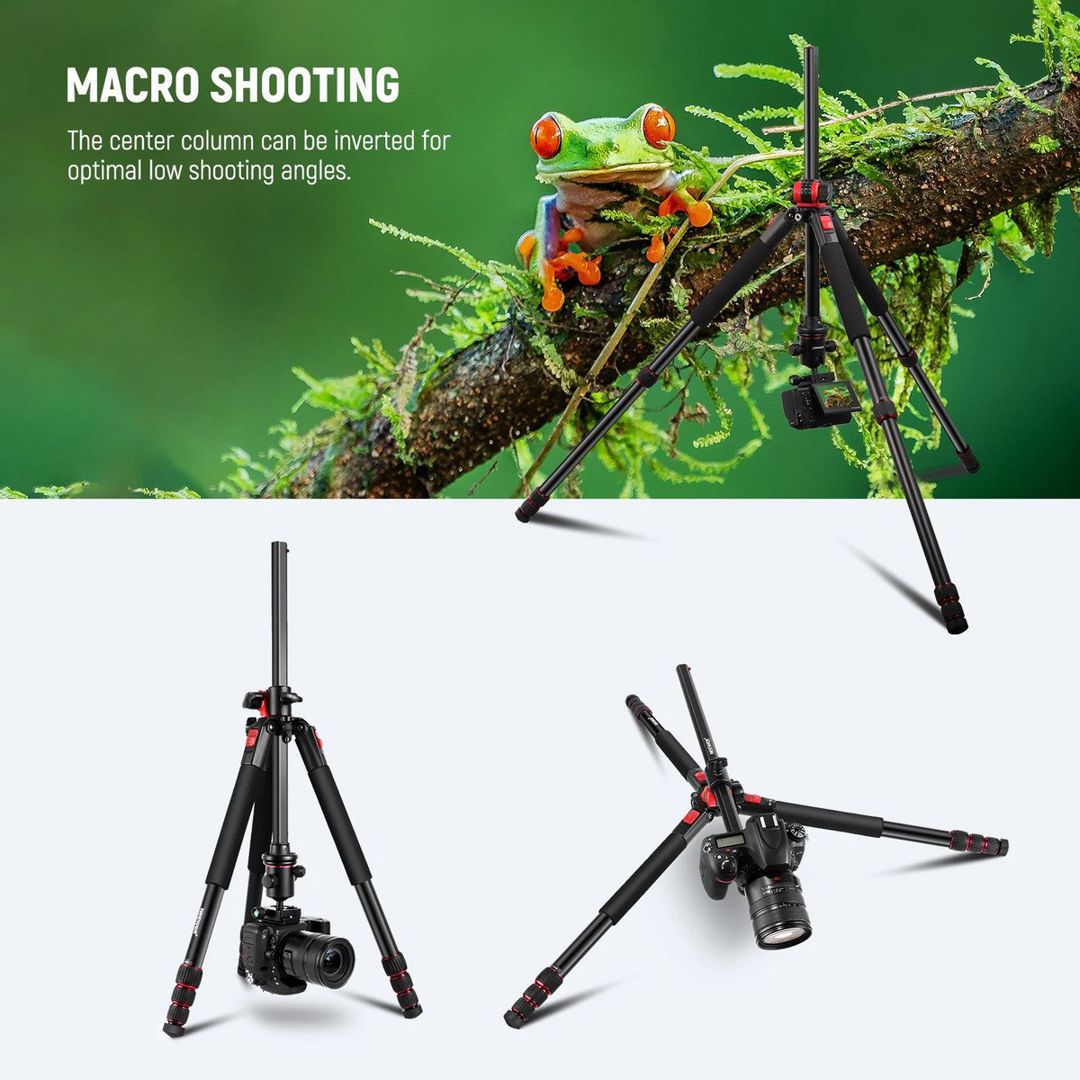 Neewer N284+G0 alliminium ştativ — Foto və video texnikası, Bakı (5)