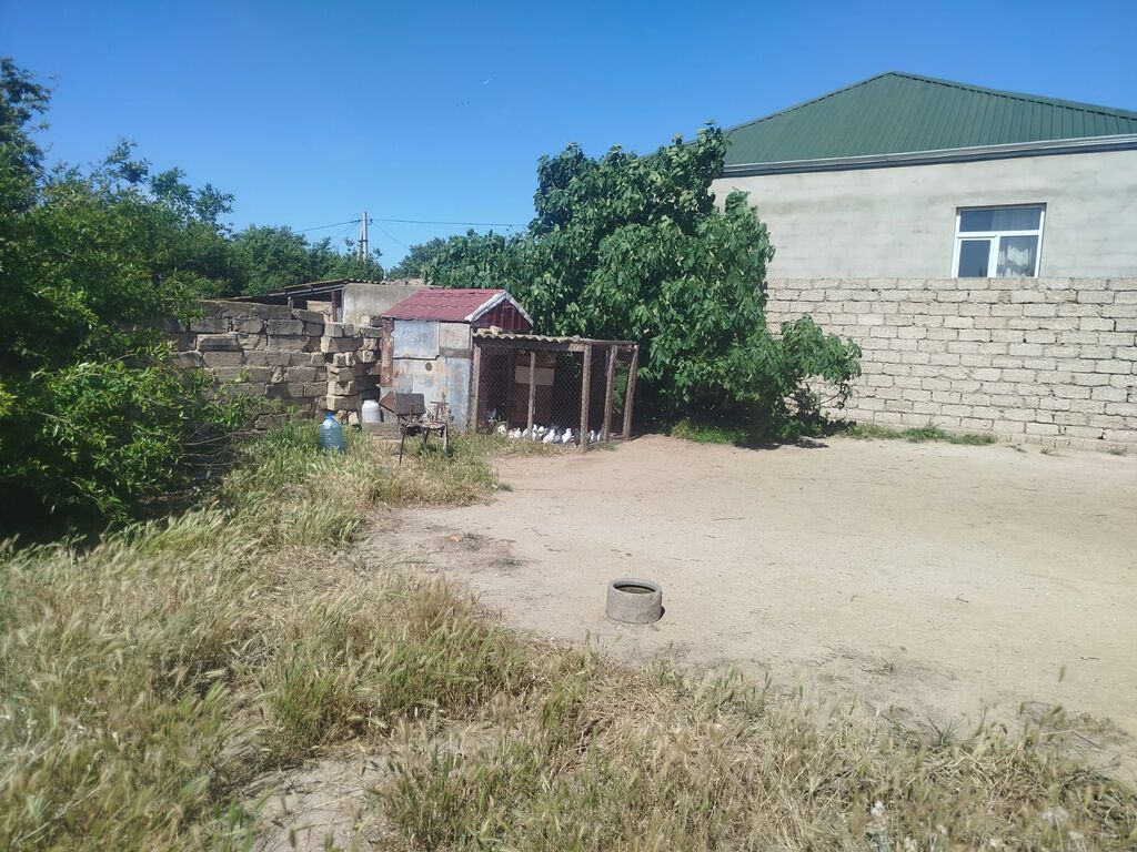 5 sot, Tikinti, Kupça (Çıxarış) — Torpaq, Bakı (6)