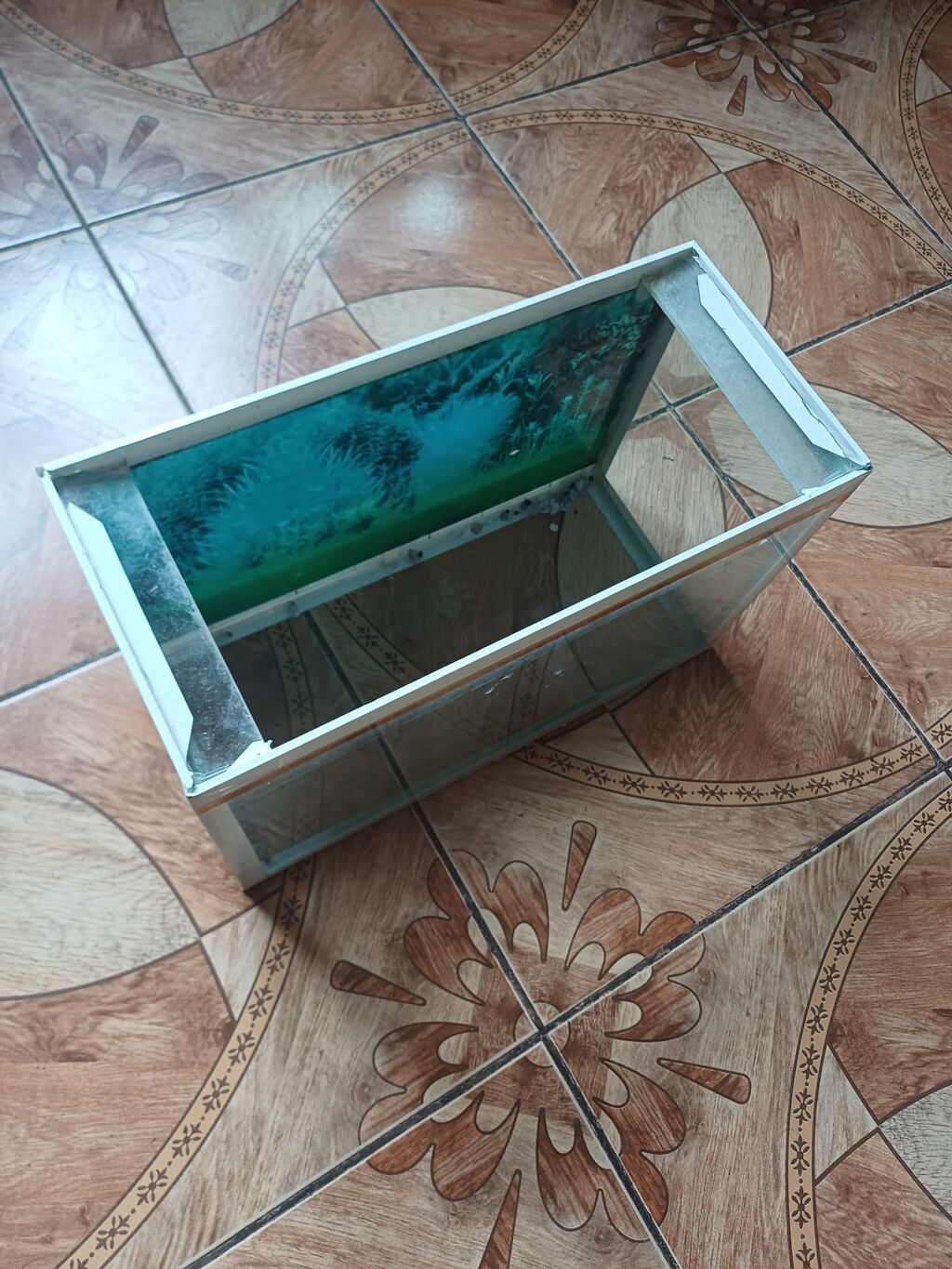 Şüşə akvarium Ölçüləri 35×22×16 — Akvariumlar və balıqlar, Bakı (3)