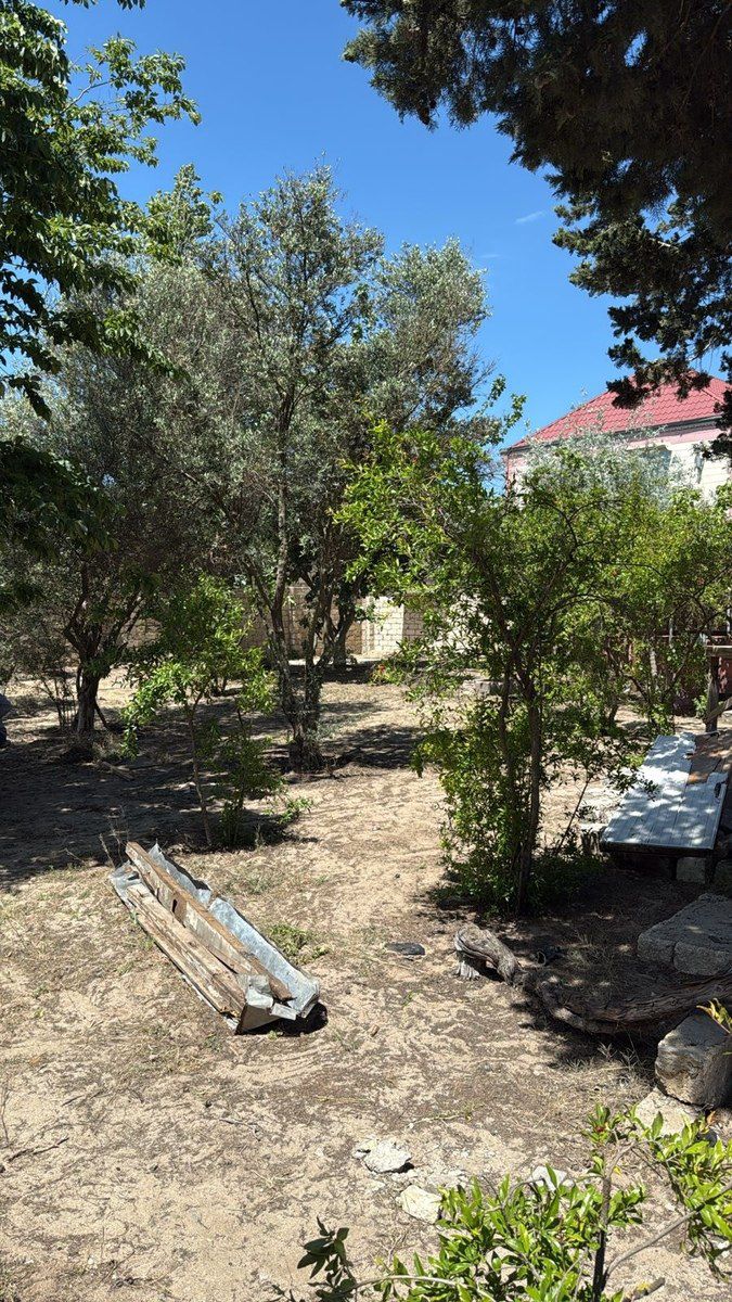 8 sot torpaq sahəsi, Nardaran qəs — Torpaq, Bakı (5)