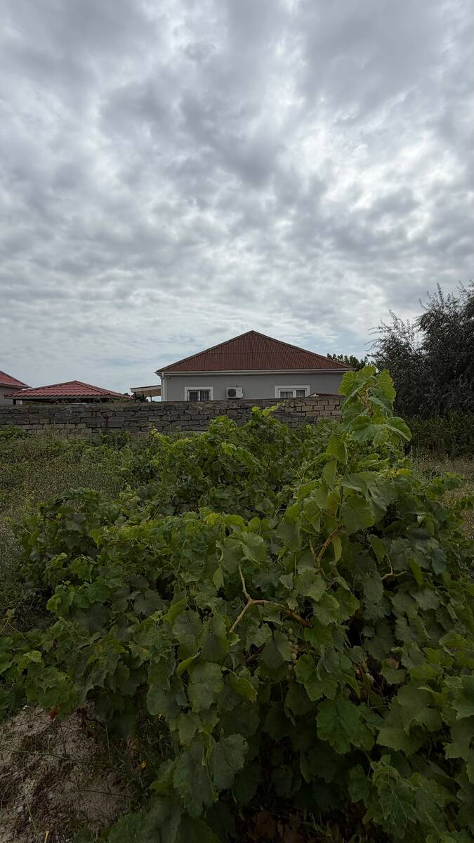 Satılır torpaq 13 sot — Torpaq, Bakı (8)