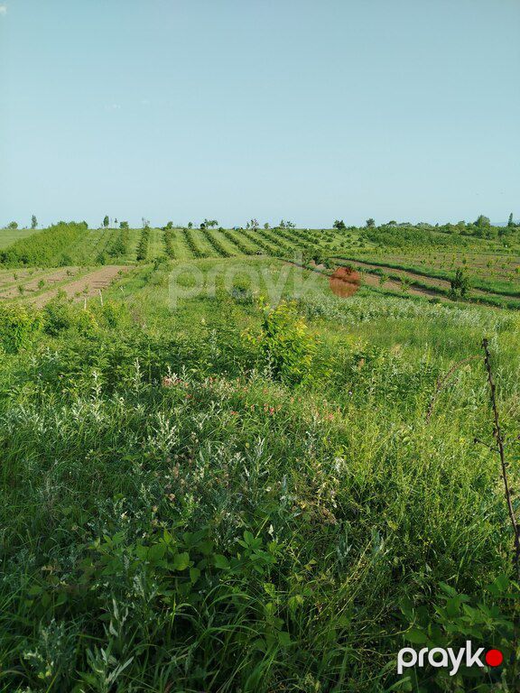 39 sot torpaq sahəsi, Quba r — Torpaq, Quba (2)