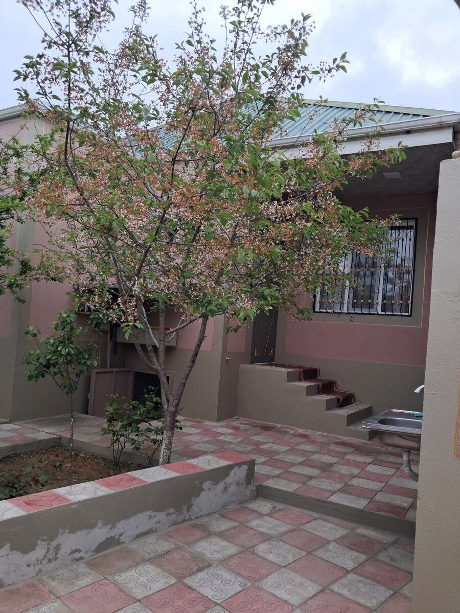 Həyət evi, Sumqayıt ş — Ev, villa, Sumqayıt (3)