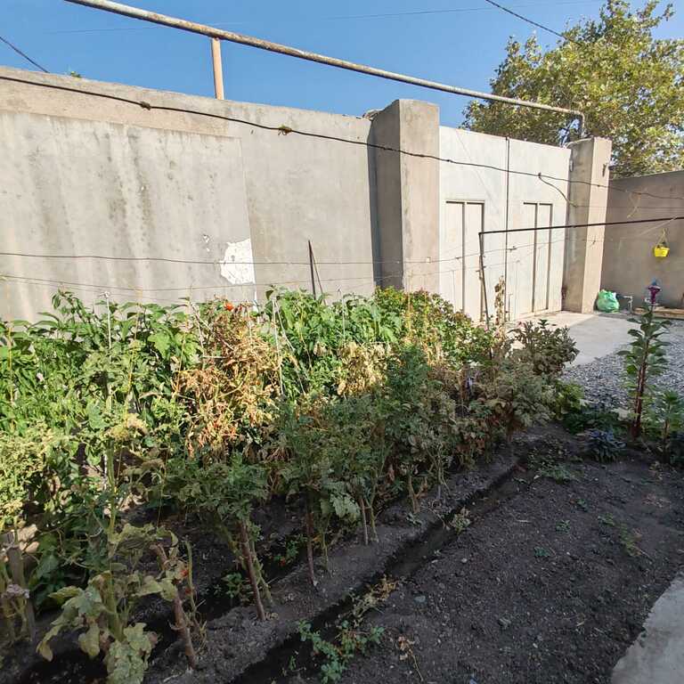 Satılır 3 otaqlı həyət evi/bağ evi 114 m² — Ev, villa, Bakı (6)