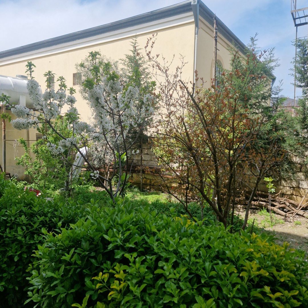 Həyət evi kirayə verilir, Əhmədli m — Ev, villa, Bakı (8)