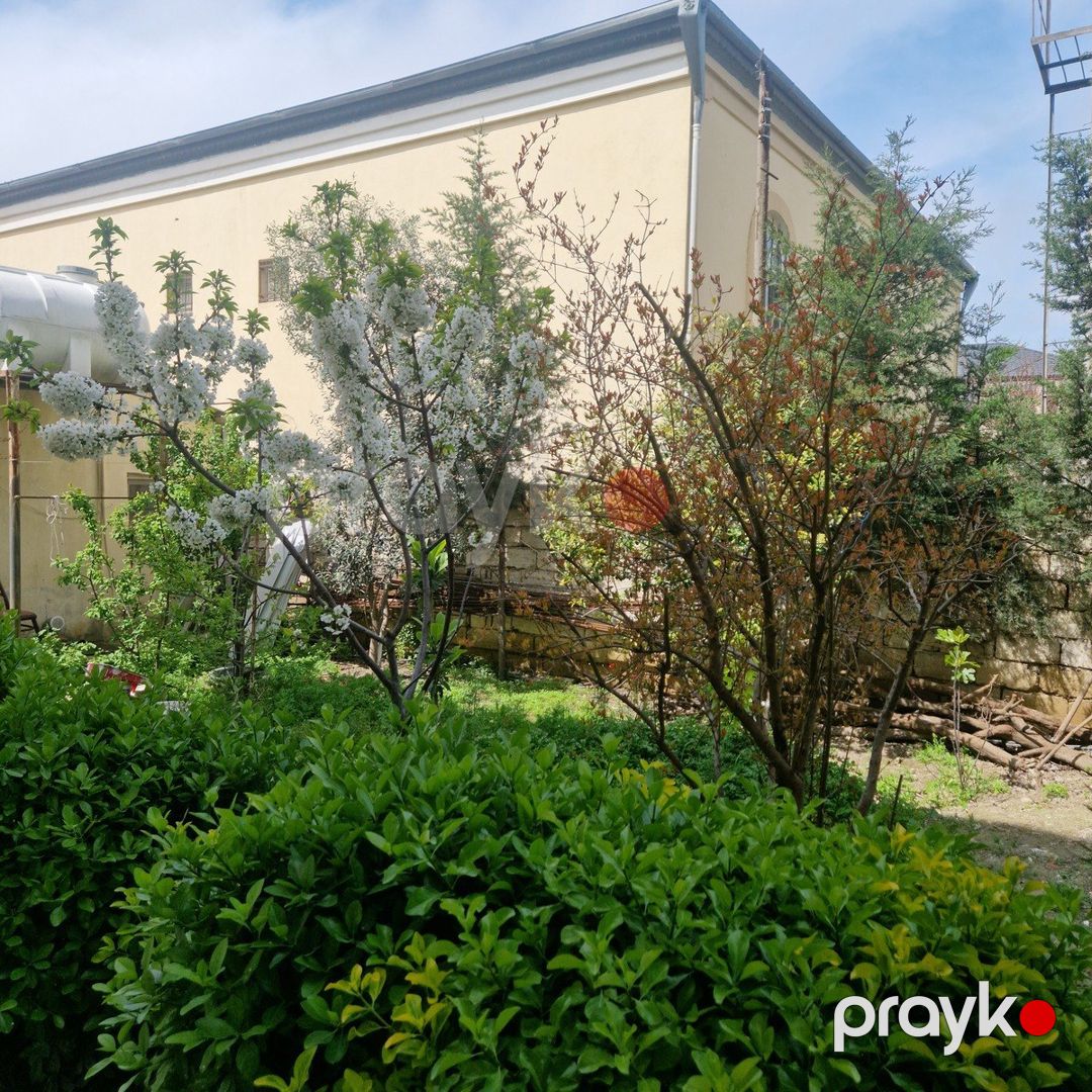Həyət evi kirayə verilir, Əhmədli m — Ev, villa, Bakı (8)