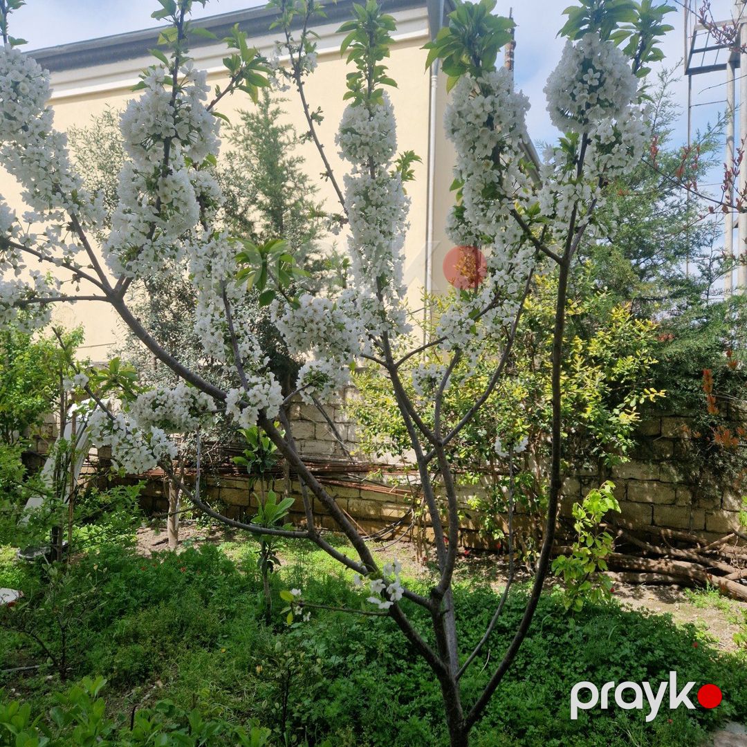 Həyət evi kirayə verilir, Əhmədli m — Ev, villa, Bakı (7)