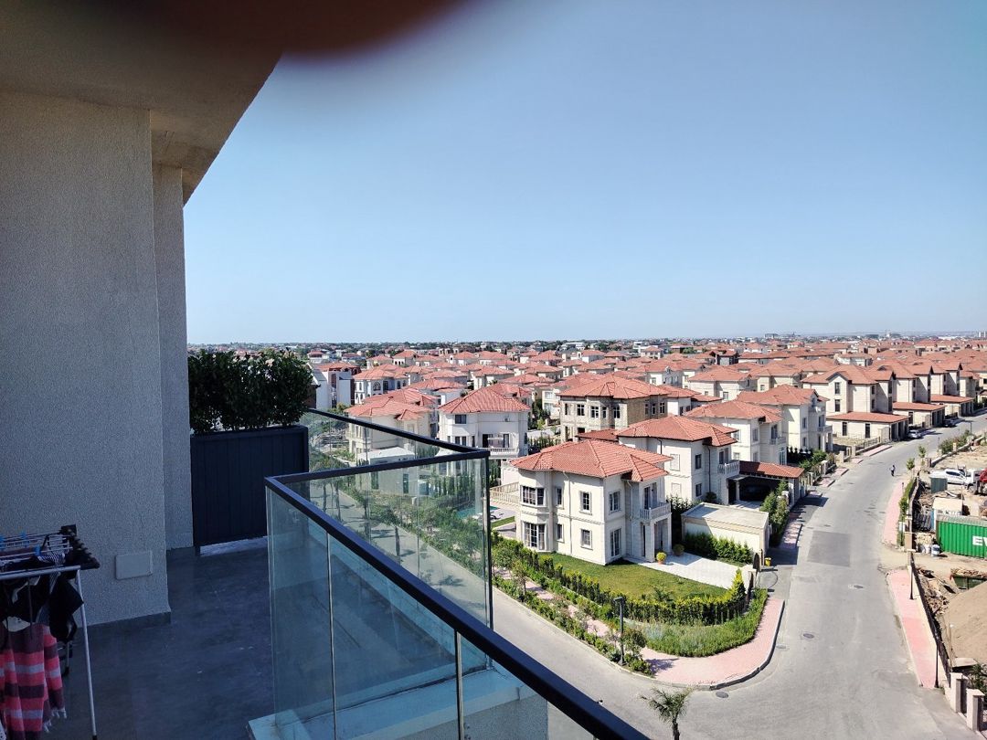 Dibçəklər — Bitkilər, Bakı (2)