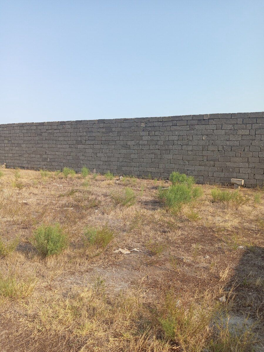 12 sot torpaq sahəsi, Türkan qəs — Torpaq, Bakı (9)