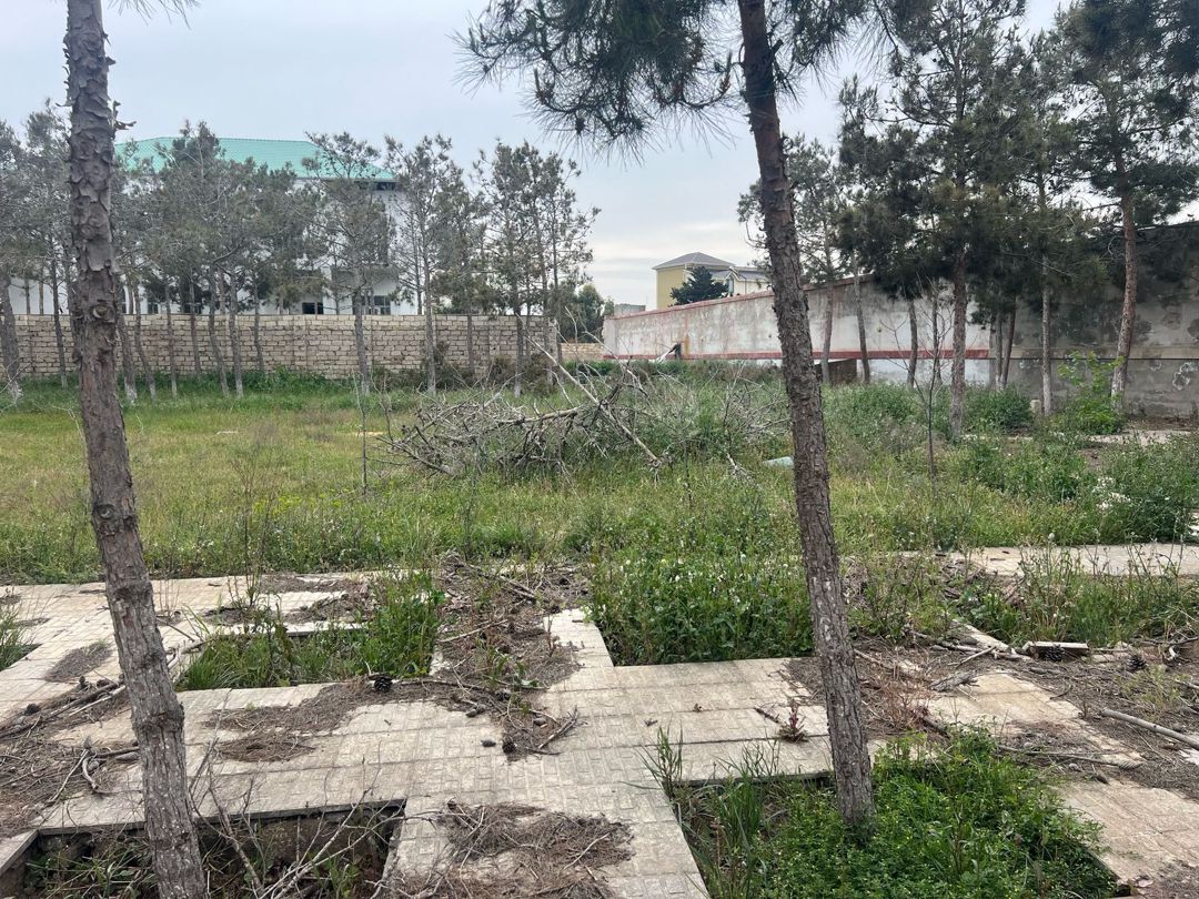 Satılır torpaq 20 sot — Torpaq, Bakı (6)