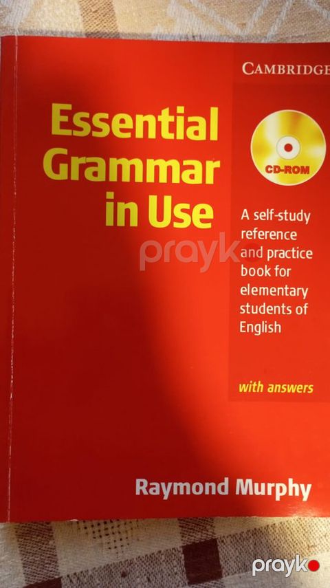 English grammar in use 3th edition