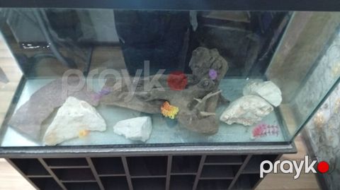 Akvaryum dəsti – şkaflı - Şüşə akvaryum: düzbucaqlı forma, qabaq-yan — Bakı