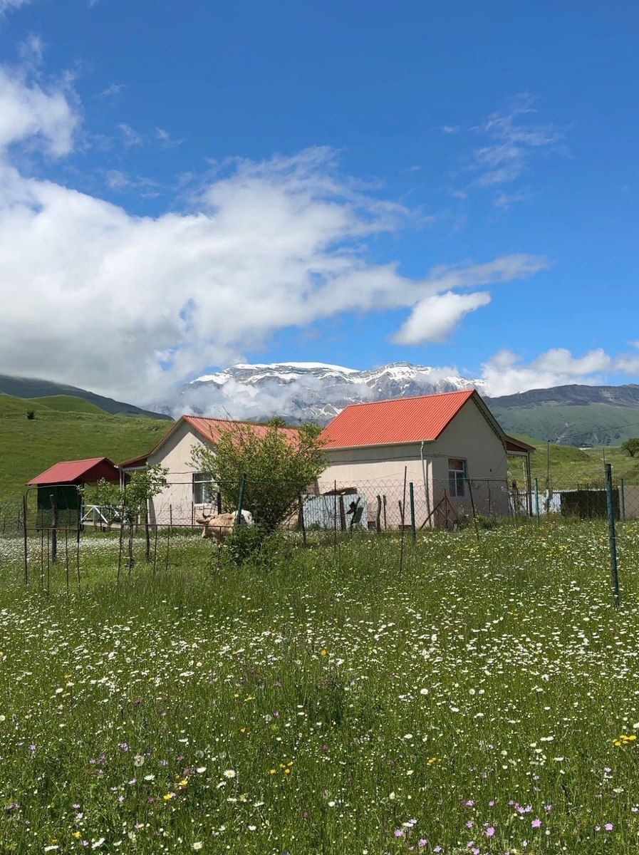 5 sot torpaq sahəsi, Qusar r — Torpaq, Qusar (2)