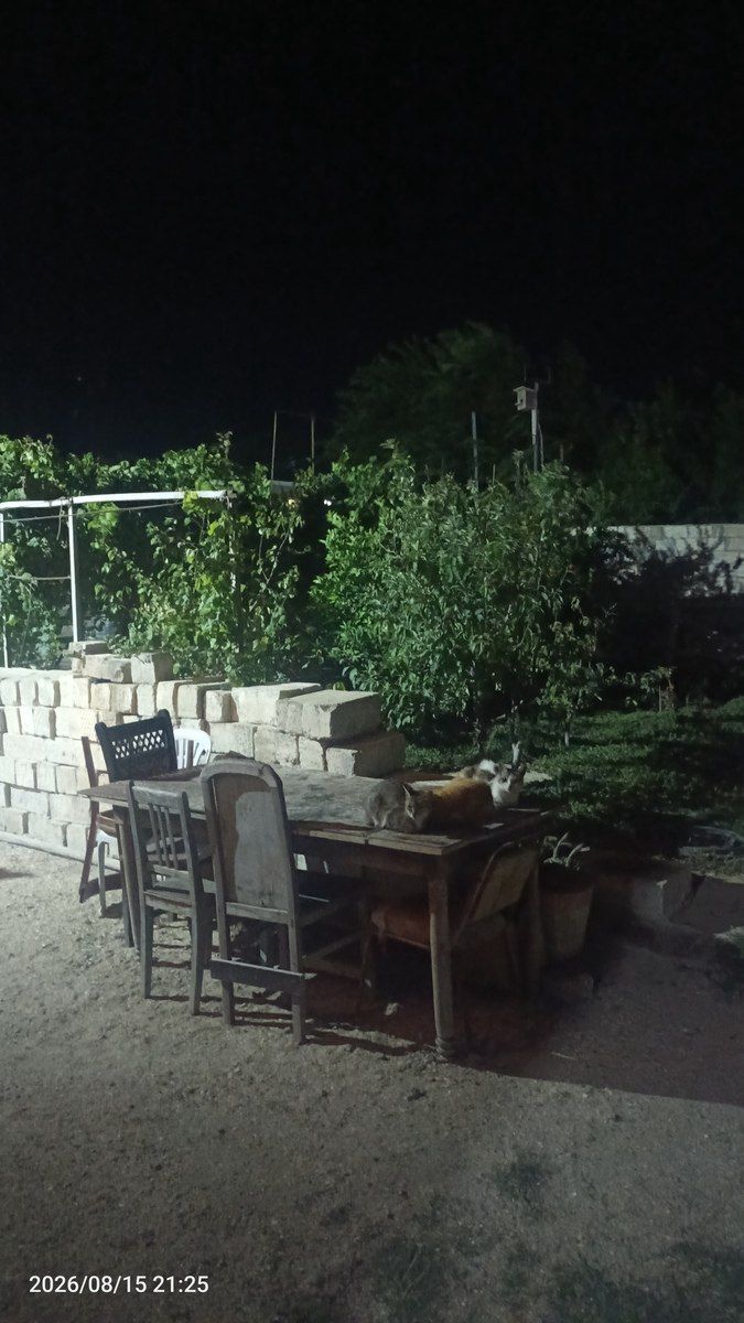 Bağ evi, Sumqayıt ş — Ev, villa, Sumqayıt (11)