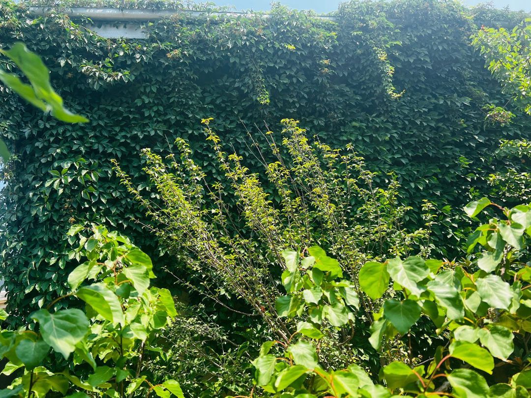 Satılır 8 otaqlı həyət evi/bağ evi 200 m² — Ev, villa, Bakı (7)