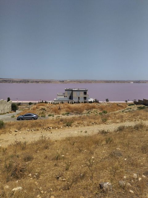 40 sot torpaq sahəsi, Masazır qəs — Bakı