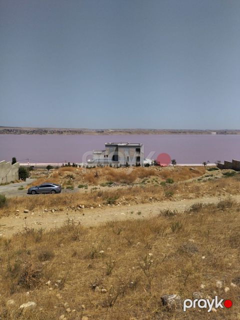 40 sot torpaq sahəsi, Masazır qəs