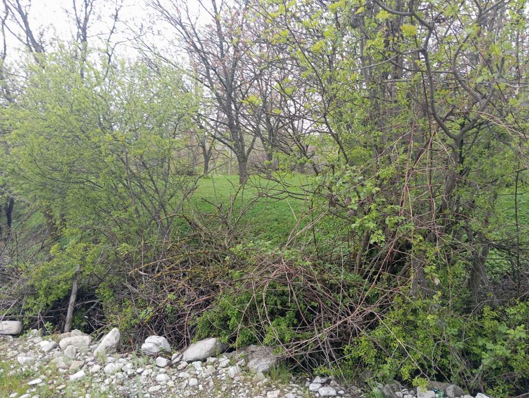 10 sot torpaq sahəsi, Xankəndi k — Torpaq, İsmayıllı (4)