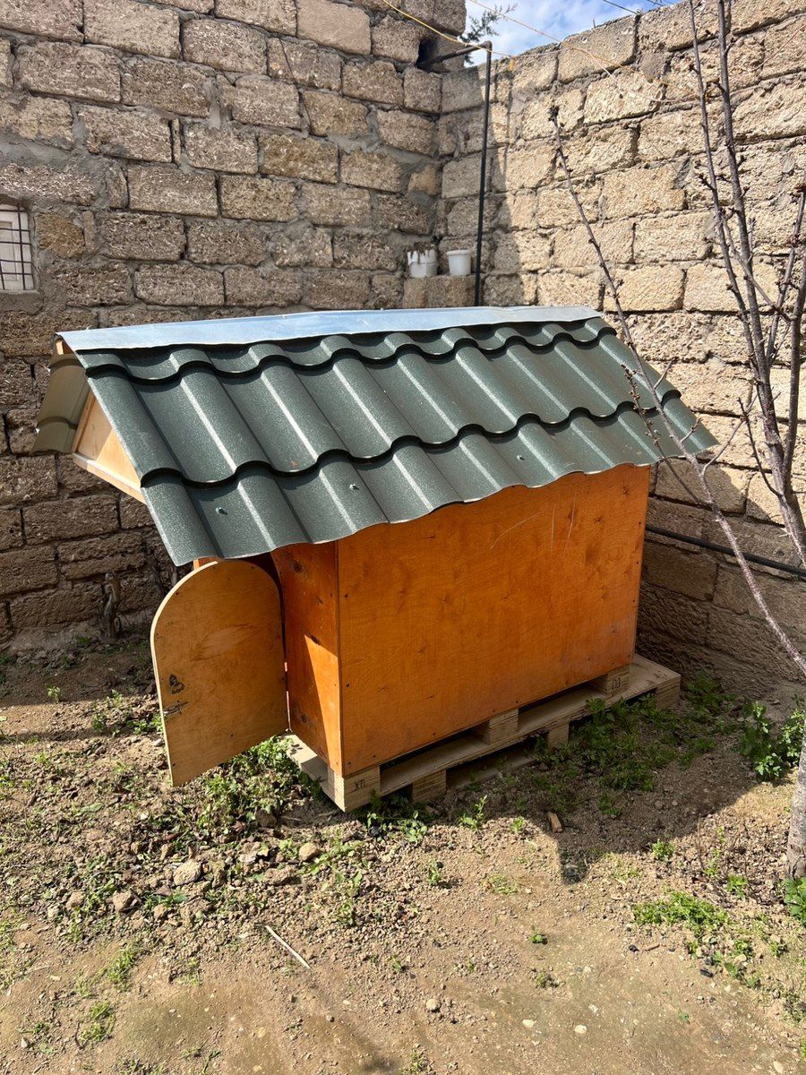 İt yuvası — Heyvan malları, Bakı (2)