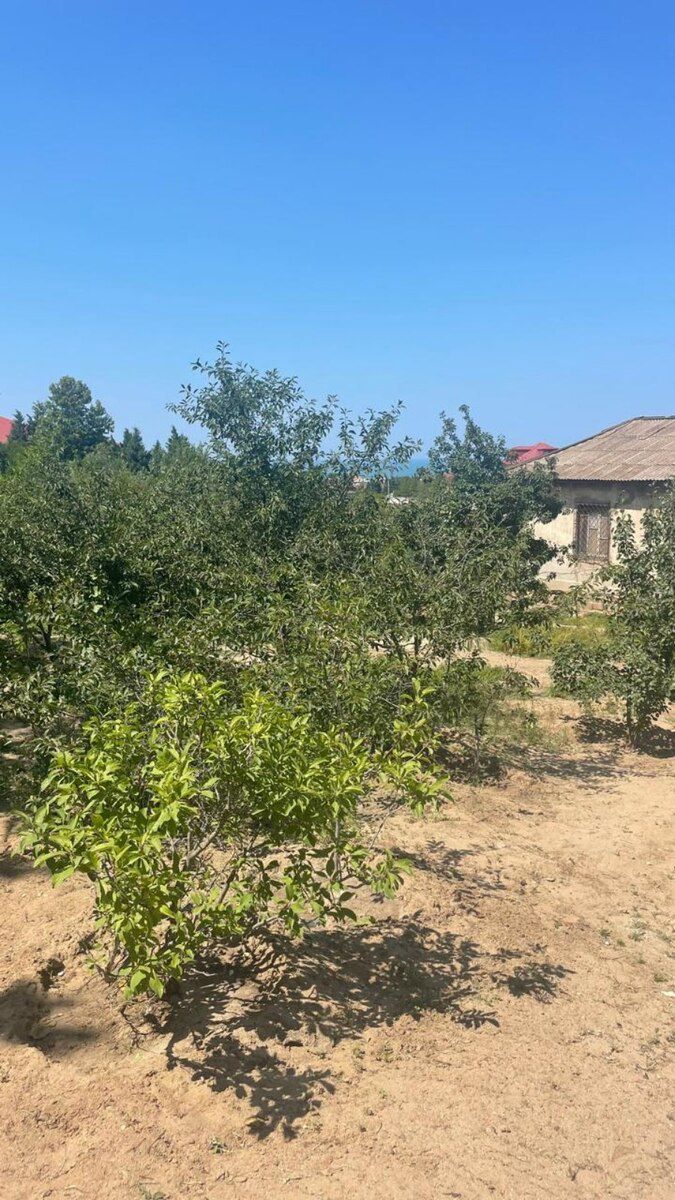 16 sot torpaq sahəsi, Novxanı qəs — Torpaq, Bakı (2)