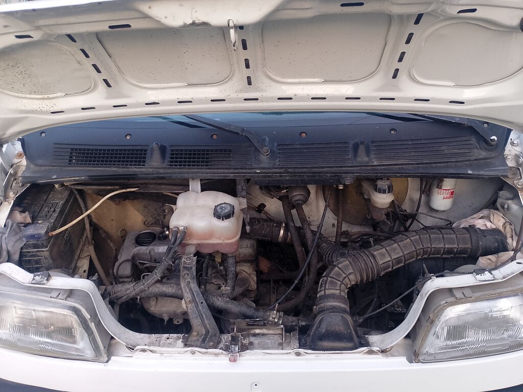 Fiat Ducato: 2 l Mikroavtobus — Avtomobillər, Masallı (2)