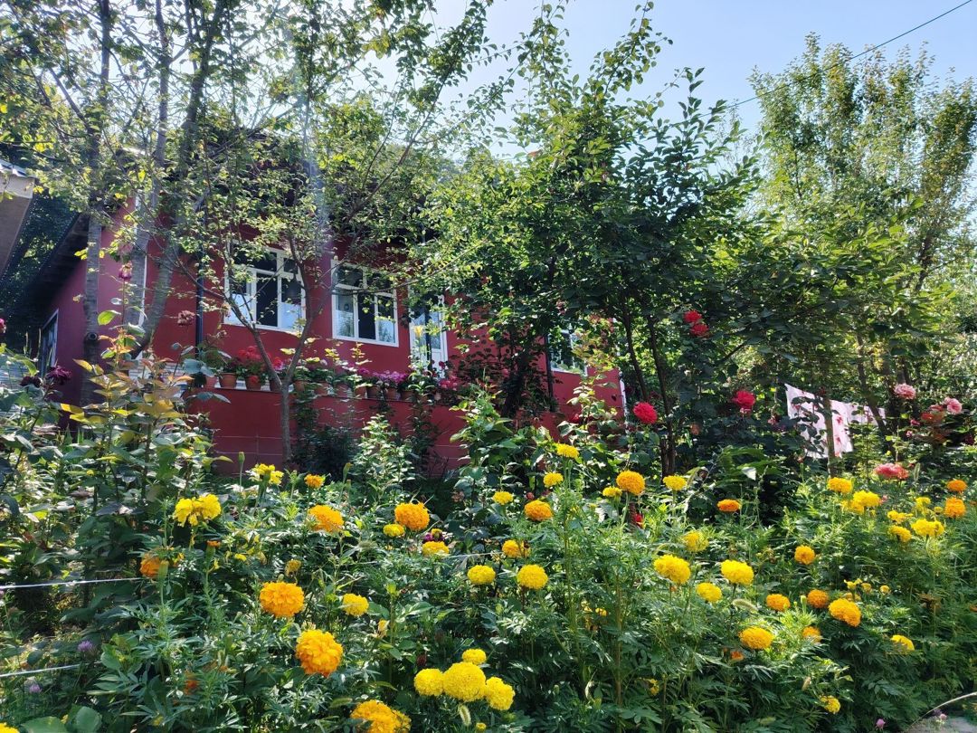 Bağ evi kirayə verilir, Qəbələ r — Ev, villa, Qəbələ