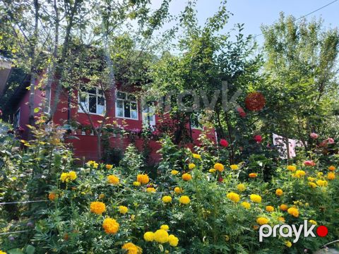 Bağ evi kirayə verilir, Qəbələ r