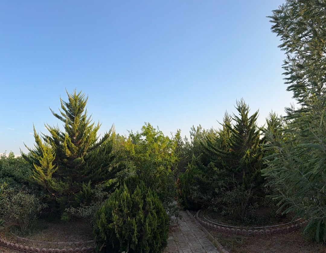 Satılır 3 otaqlı həyət evi/bağ evi 54 m² — Ev, villa, Bakı (5)