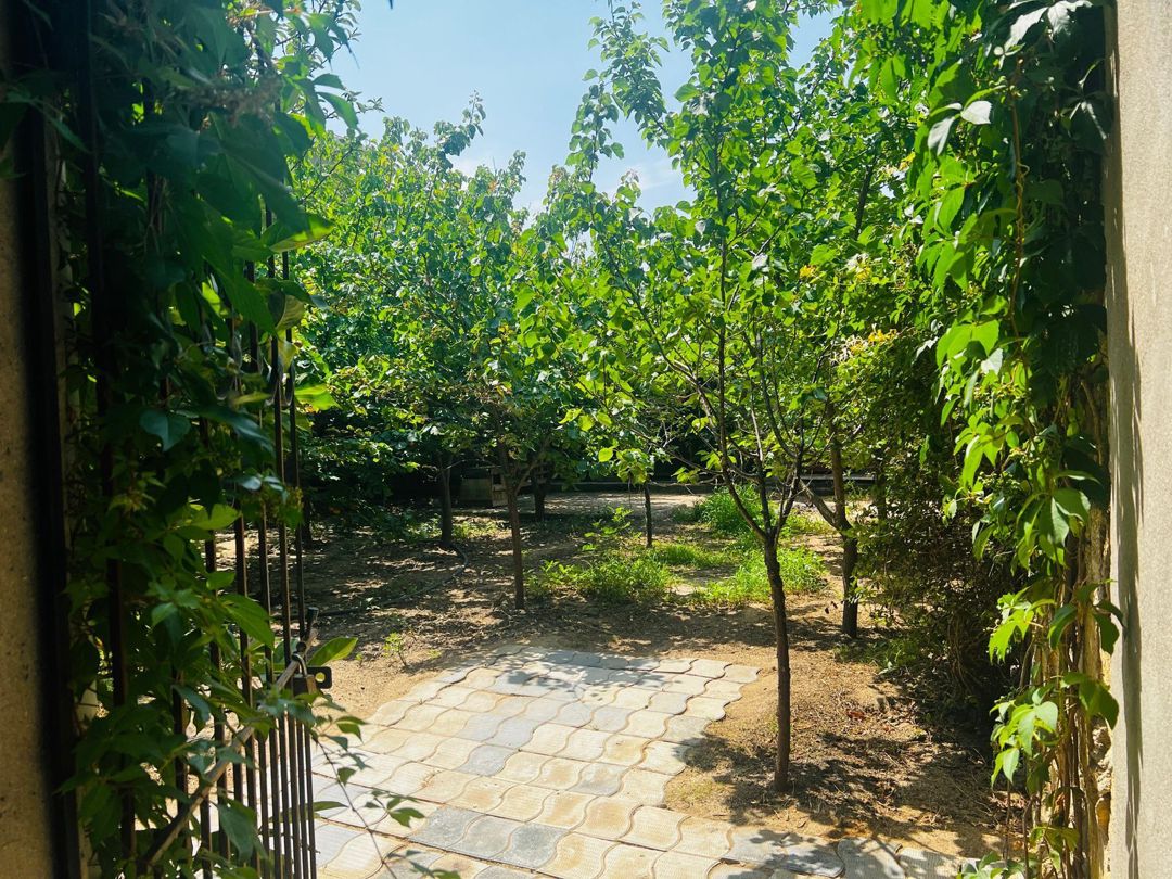 Satılır 8 otaqlı həyət evi/bağ evi 200 m² — Ev, villa, Bakı (6)